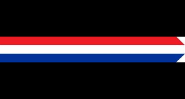 Wimpel stof rood/wit/blauw 25cmx2.5mtr