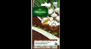 Ajuin Printanier Parisien HF1 5m Allium cepa - zaailint