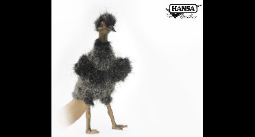 Handpop Emu, Hansa