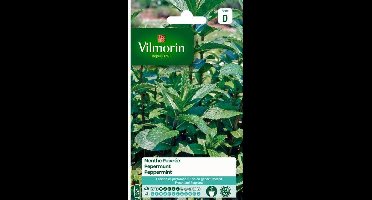 Pepermunt - Mentha piperita