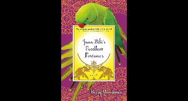 Jana Bibi Adventures - Jana Bibi's Excellent Fortunes
