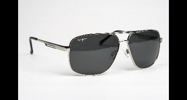 Haga Eyewear Zonnebril Denver - Zilverkleurig - Heren - Gepolariseerde Glazen - 100% UV-A en UV-B Bescherming - Inclusief Microvezel Pouch