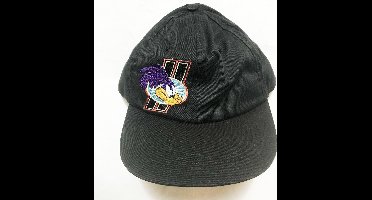 Road Runner UPS Cap - Pet Zwart