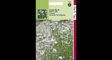 Hortitops Zaden - Duizendblad