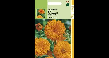 Hortitops Zaden - Calendula Off. Dubbel Oranjekoning