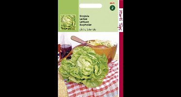 Hortitops Zaden - Kropsla Grosse Blonde - Dikke Blonde Traagsch.