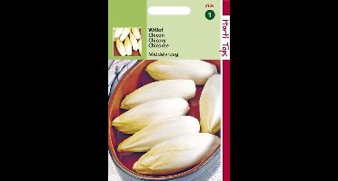 Hortitops Zaden - Witlof Hollandse Middelvroeg - Edellof