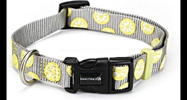Nylon halsband Lemon 48-70cm