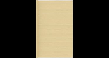 vidaXL - Tenttapijt - 300x500 - cm - beige