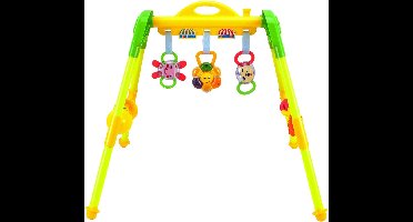Happy World Babygym