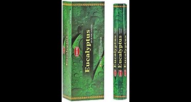 HEM Wierook Eucalyptus - 20 Stokjes