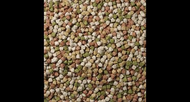 Antos Gourmet Mix hondenkoekjes 10 kg - grootverpakking