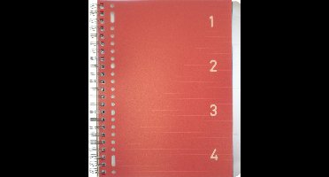 Kangaro 4-in-1-blok - A4 - gelinieerd - 200 pagina's - 80 grams - rood - 4 stuks - K-58380-4