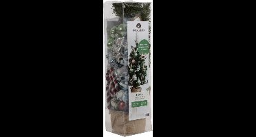 Everlands - Imperial - Kerstboom Versiering - 60cm hoog - 10 ornamenten - Groen Zilver