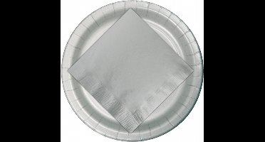 48x Kartonnen bordjes zilver 23 cm - Wegwerpborden van karton - Feestbordjes - Feestartikelen tafeldecoratie