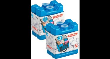 Plasticforte 100 grams koelelementen - 8x stuks - 8 x 7.5 x 2.3 cm - blauw - kunststof - met sneeuwvlokken print