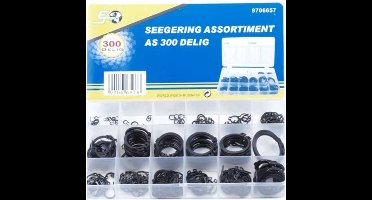 Topgear Externe borgringen set - 300 stuks - Diverse maten in opbergbox