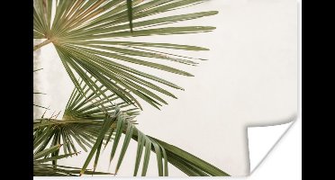 Poster Palmbladeren - Groen - Natuur - 30x20 cm