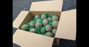 Hadivo Mezenbollen Premium - 50 stuks met netje