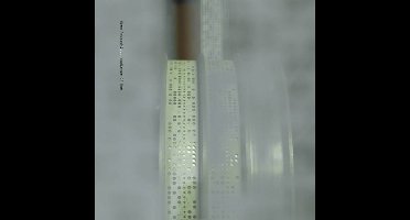 Oren Ambarchi - Audience Of One (2 LP) (Remastered)