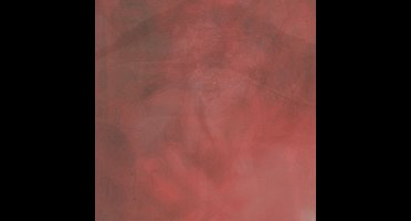 Speaker Music - Of Desire, Longing (LP)