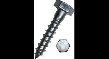 Houtdraadbout. M6 x 80mm. lang. Verzinkt. 25 stuks hout-fretten. Homefix.