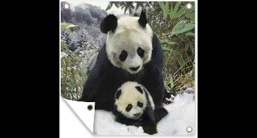 Tuinposters Panda - Welp - Sneeuw - 50x50 cm - Tuindoek - Buitenposter