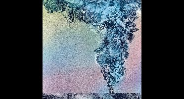 Daughn Gibson - Carnation (CD)