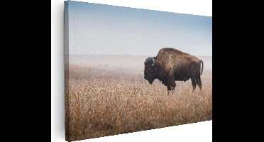 Artaza Canvas Schilderij Bizon in het Gras - 90x60 - Foto Op Canvas - Canvas Print - Muurdecoratie
