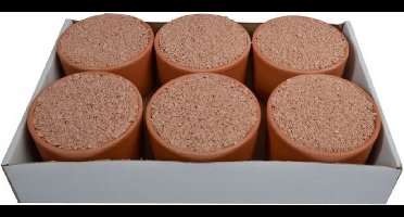 Wielink Pikpot Excellent 6 stuks