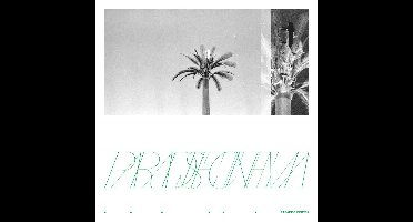 Paradise Cinema - Paradise Cinema (CD)