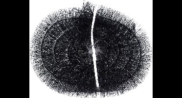 Meuwissen Agro Dakgootborstel - Zonnepanelenborstel - Gootbescherming - ø 12 x 410 cm