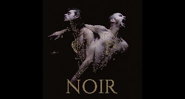 Heymoonshaker - Noir (CD)