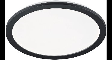 REALITY CAMILLUS - Plafondlamp - Zwart mat - incl. 1x SMD 22 W - Afstandsbediening - Geintegreerde dimmer - Traploos instelbare lichtkleur - Nachtlampje - Niet extern dimmerbaar - Sterlichteffect - Geheugenfunctie