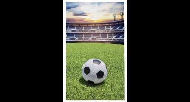 Voetbal Handdoek 30x50 Katoen Stadion Kleine maat