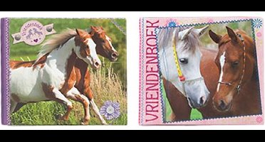 Vriendenboek Horses Dreams Top Model paars