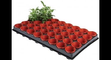 Tray met kweekpotjes 6 cm - 40 potjes