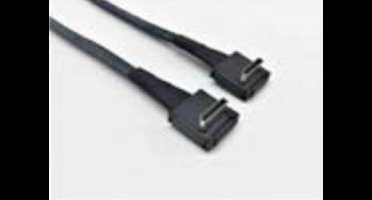 Intel AXXCBL620CRCR tussenstuk voor kabels OCuLink SFF-8611 Zwart