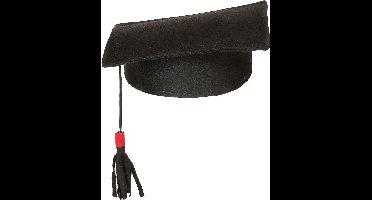 Vegaoo - Academic square studentenhoed voor volwassenen