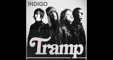 Indigo