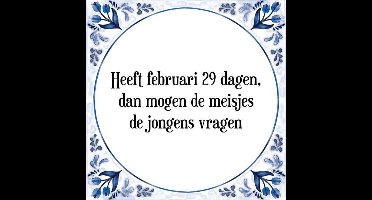Tegeltje met Spreuk (Tegeltjeswijsheid): Heeft februari 29 dagen, dan mogen de meisjes de jongens vragen + Kado verpakking & Plakhanger