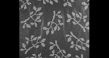 Dutch Wallcoverings Vliesbehang tak/puntje - zwart/wit