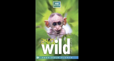 24/7 wild (DVD)