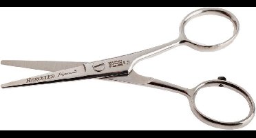 Hercules Sägemann - Baard & Snorren Schaartje - 4,5 inch - 11 cm. - RVS