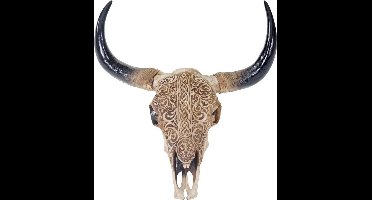 Stieren schedel 45 cm