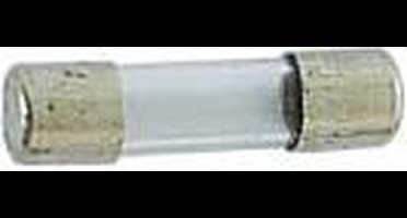 ZEKERING 5 x 20mm TRAAG 0.25A (10st./doos) (FU0.25N)