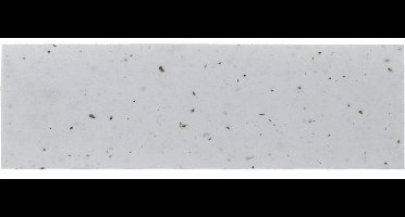 Velo Stuurtape Kurk Wit