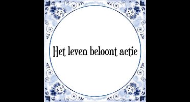 Tegeltje met Spreuk (Tegeltjeswijsheid): Het leven beloont actie + Kado verpakking & Plakhanger