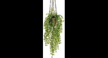 Kunst Ficus pumila hangplant 80cm