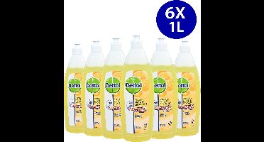 Dettol Allesreiniger Complete Clean - perfecte hygiëne - Zomergeur - 6x 1 liter
